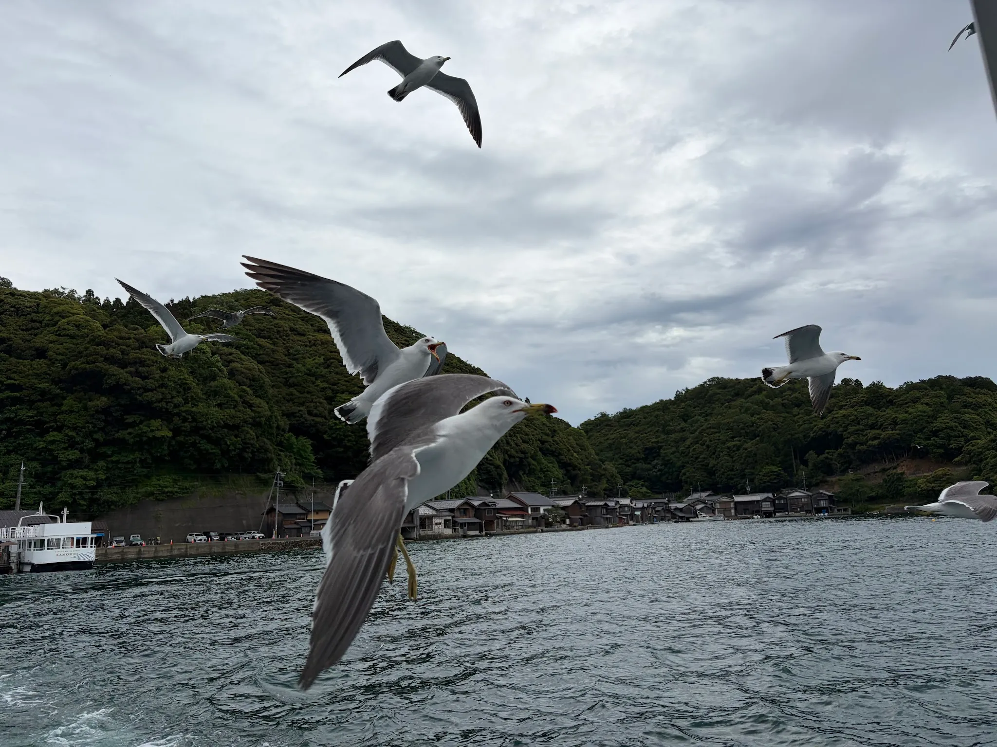 Amanohashidate photo