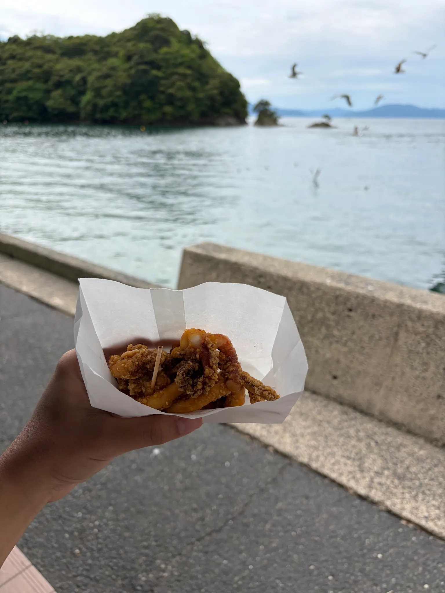 Amanohashidate photo