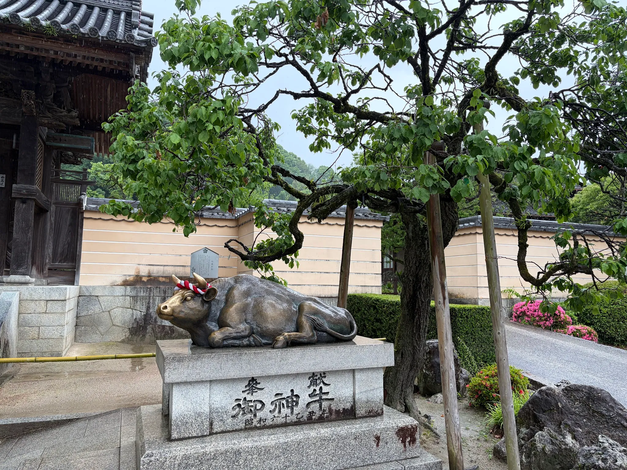 Fukuoka photo