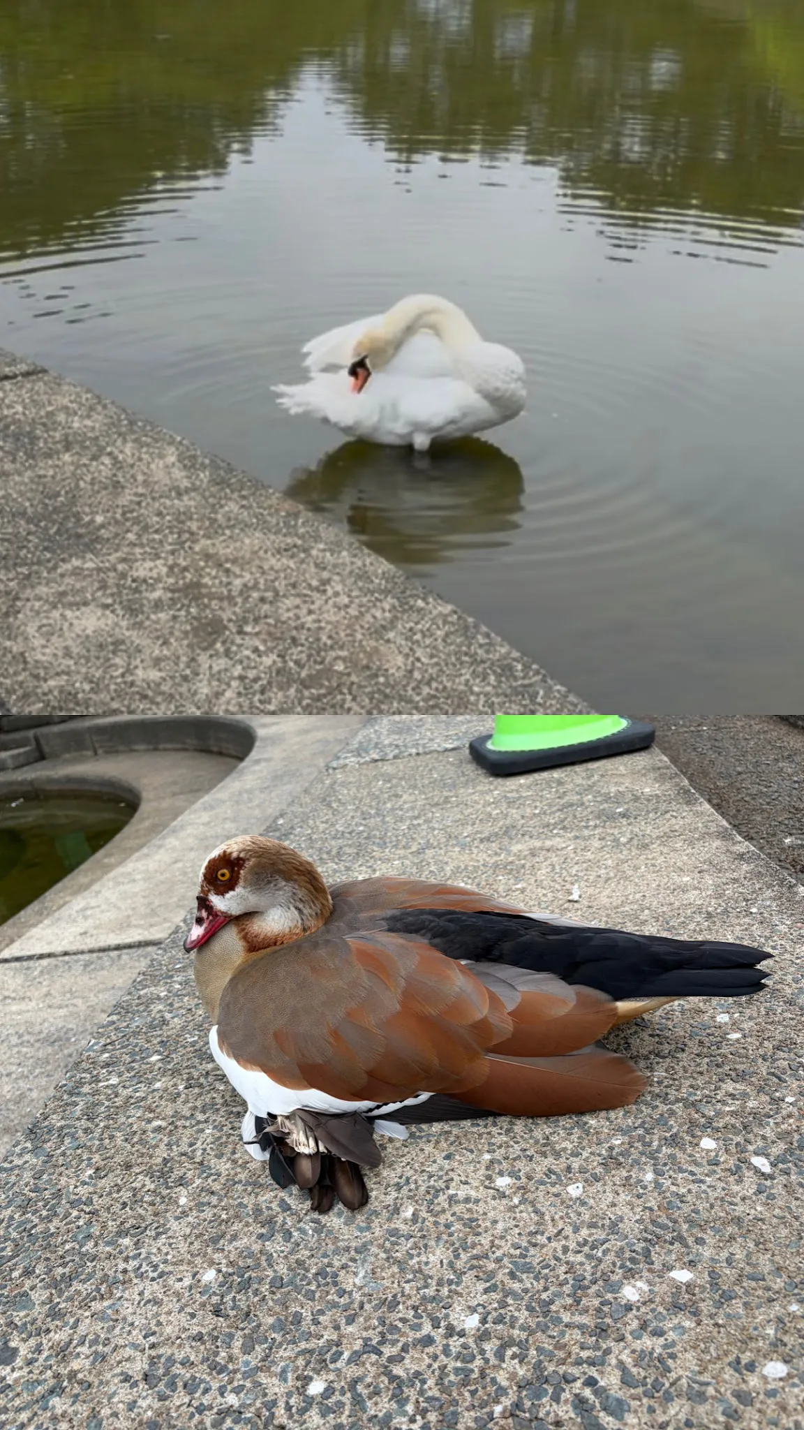 Fukuoka photo