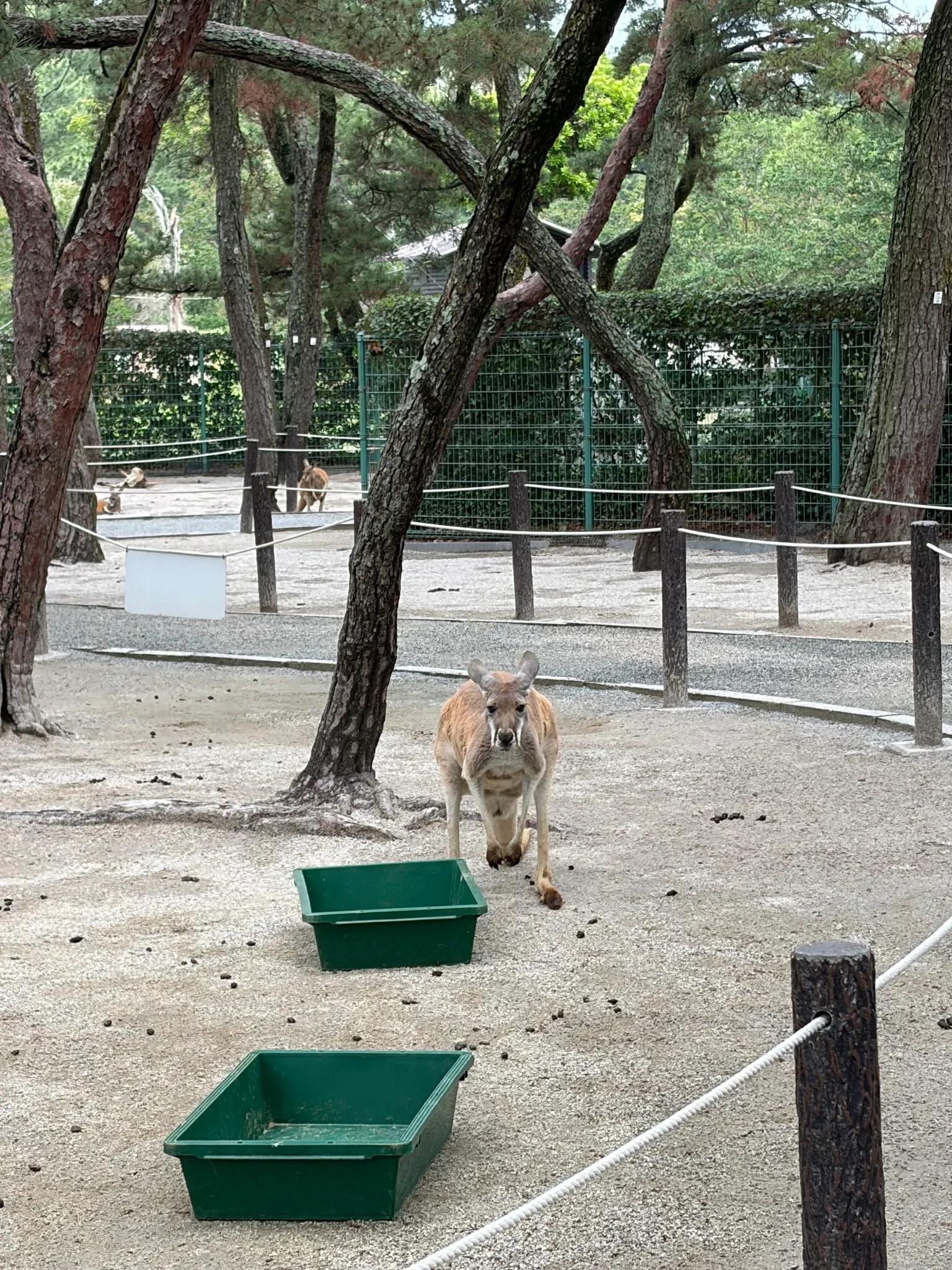 Fukuoka photo