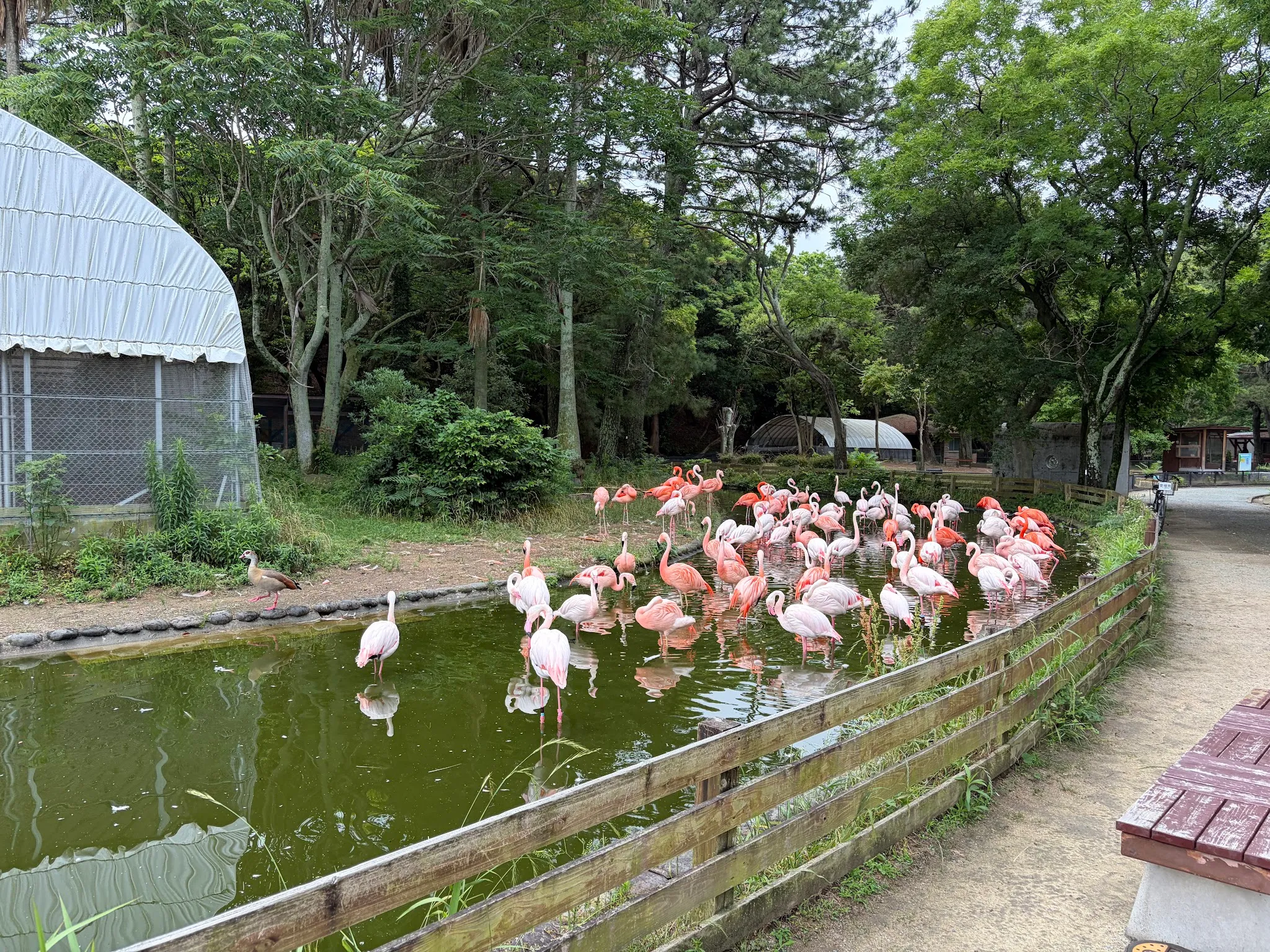 Fukuoka photo