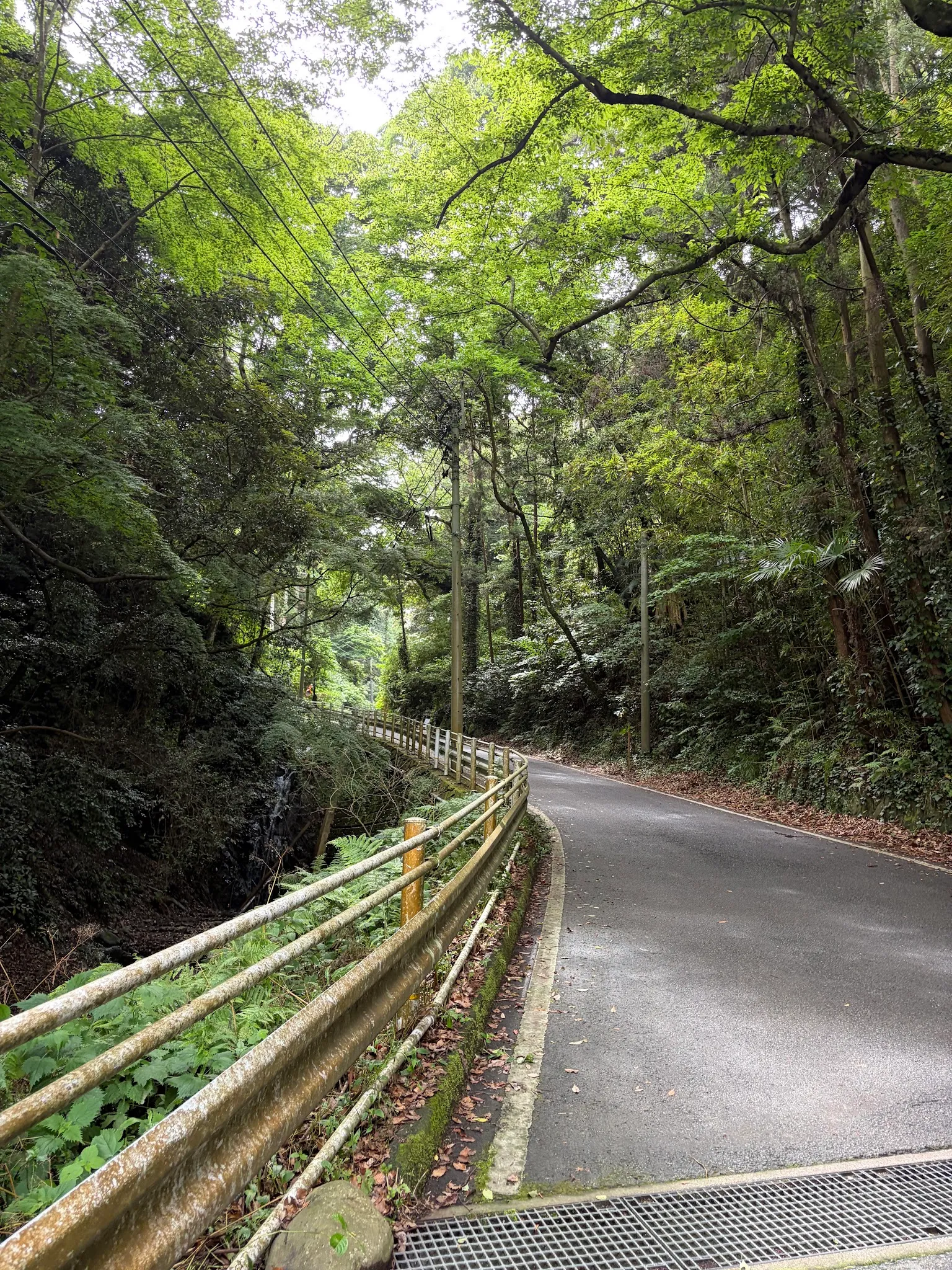 Fukuoka photo