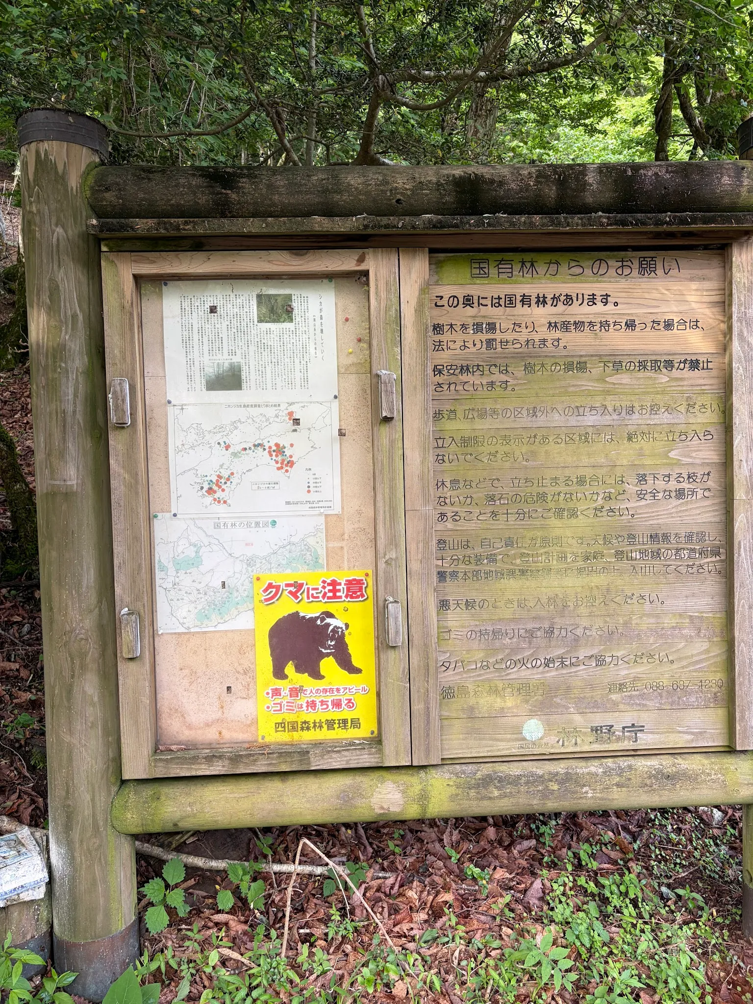 Iya Valley photo