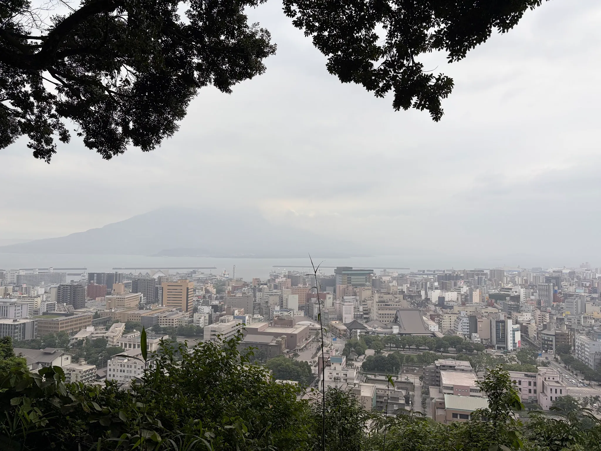 Kagoshima photo