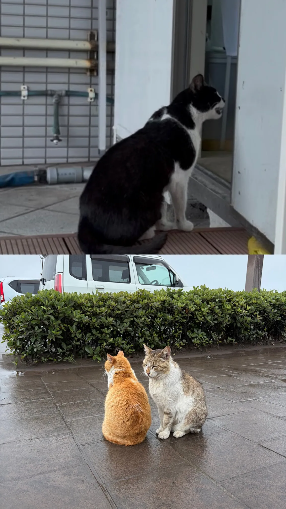 Kagoshima photo