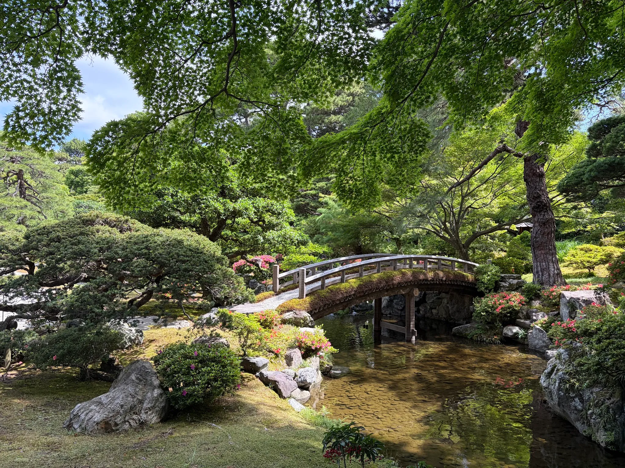Kyoto photo