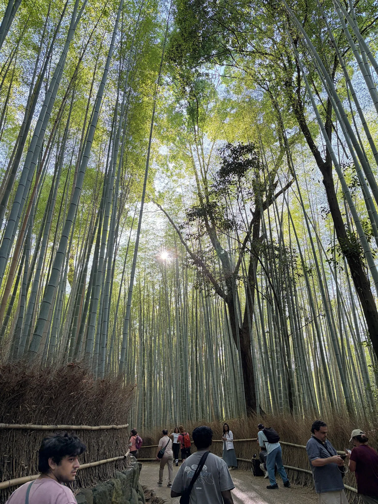 Kyoto photo
