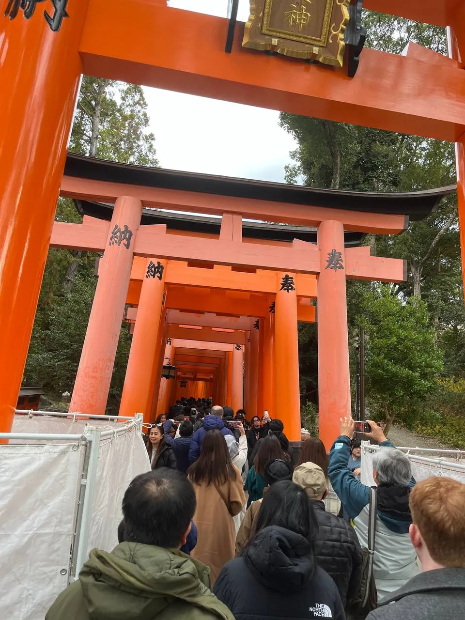 Fushimi Inari