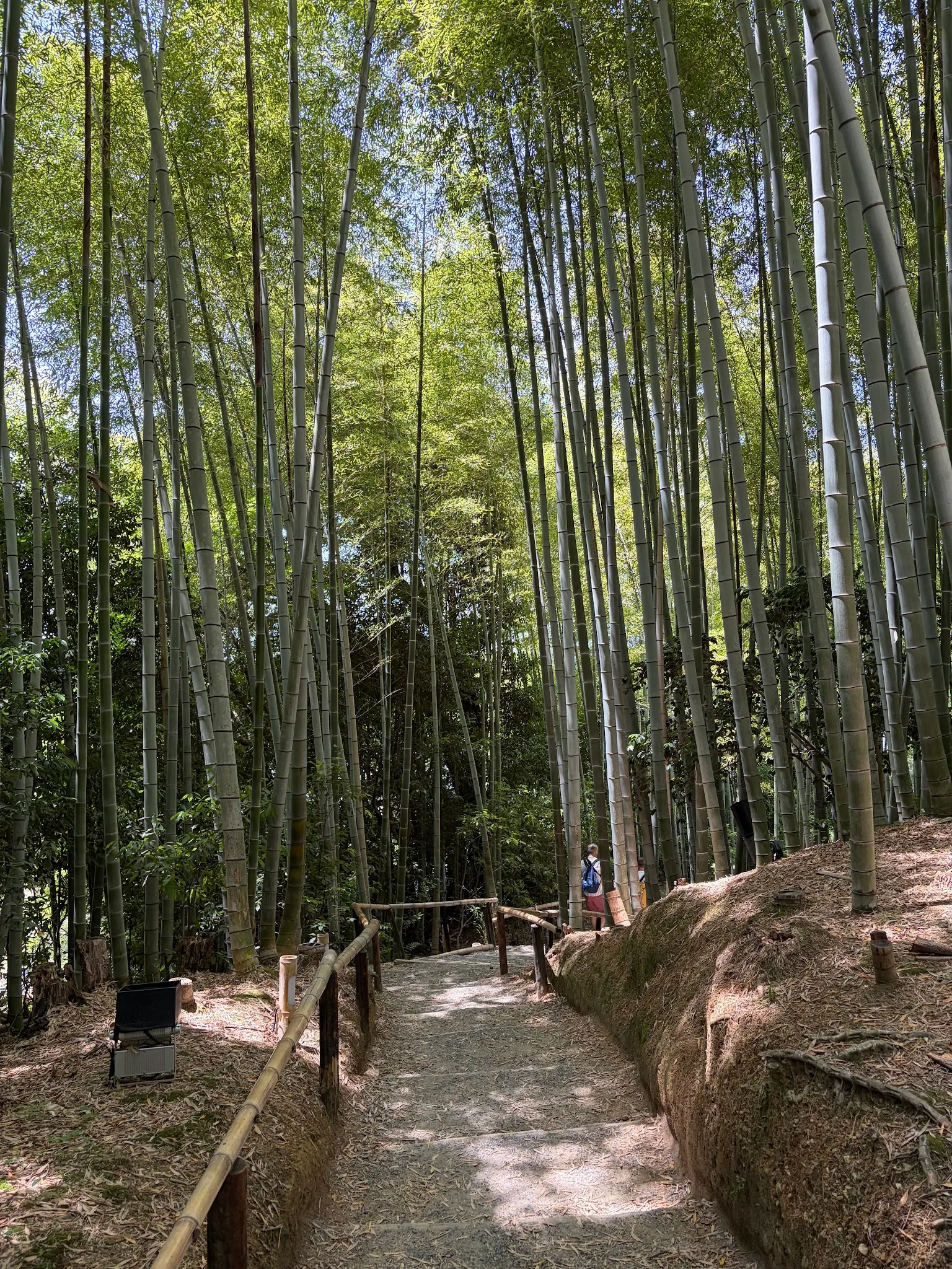 Kyoto photo