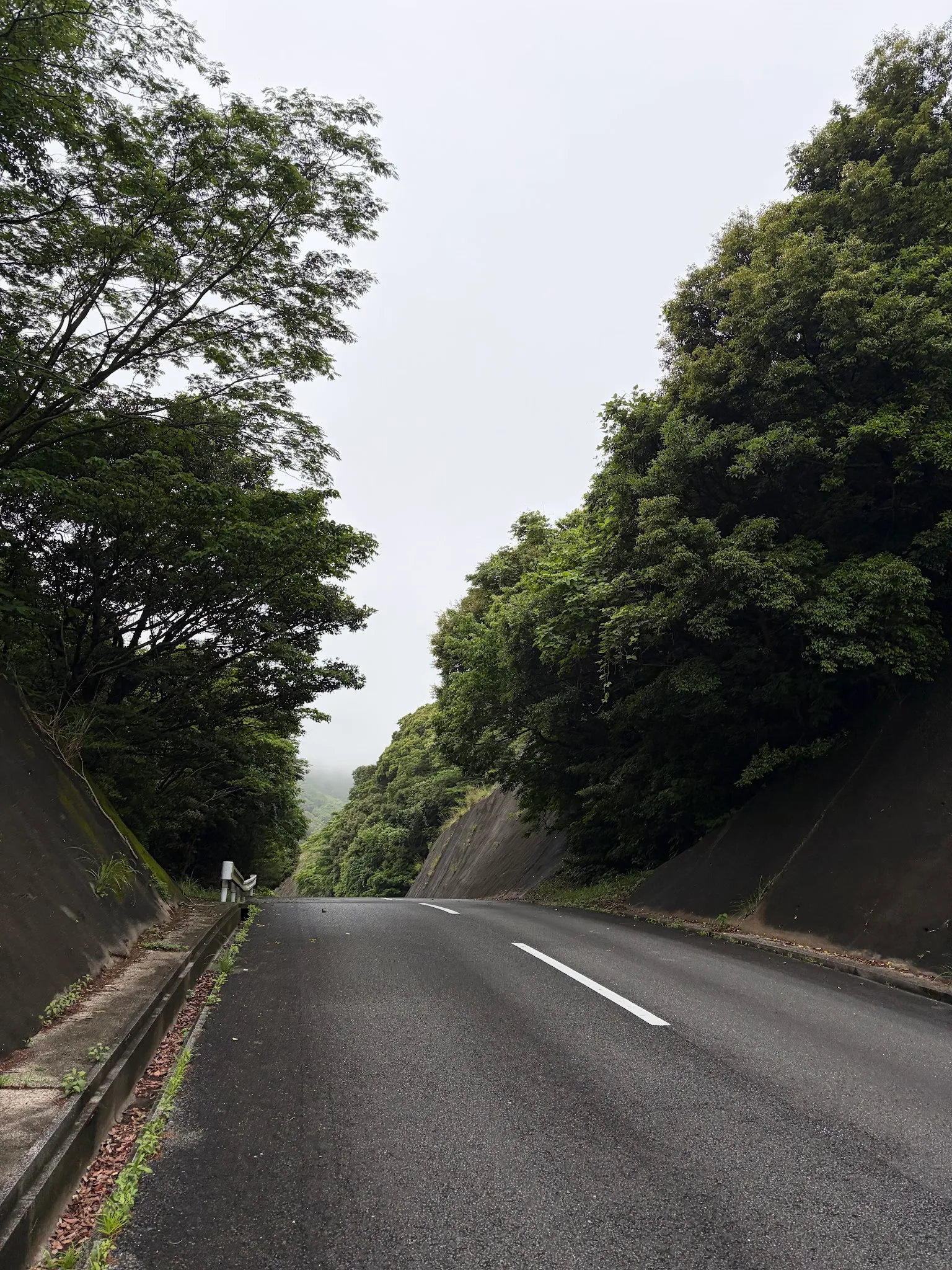 Nagato photo