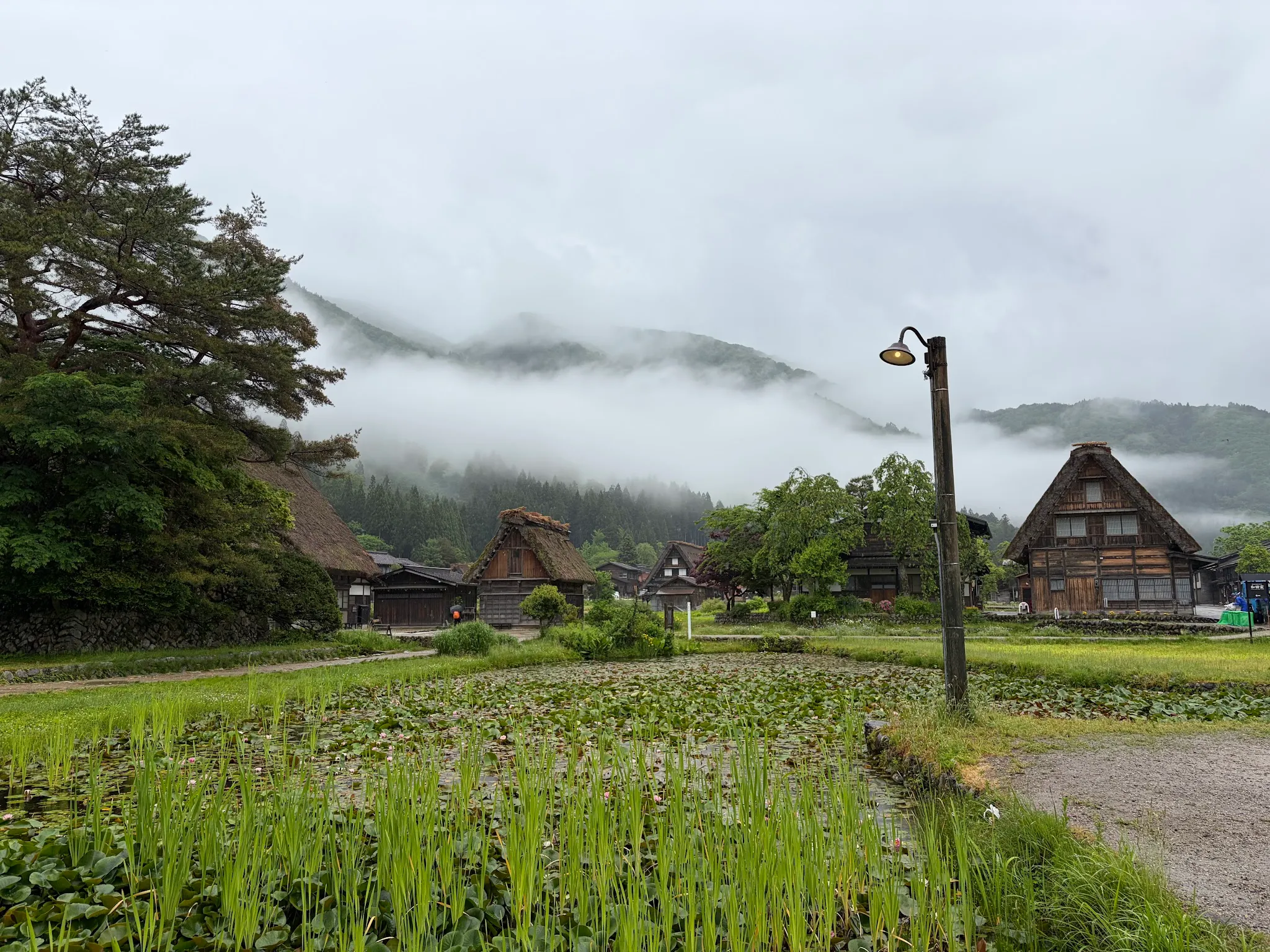 Shirakawago photo
