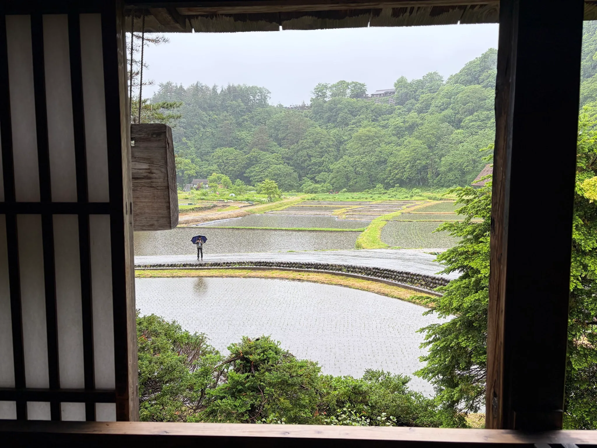 Shirakawago photo